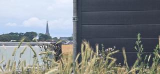 Uitrusten in de natuur bij Zutphen - 7