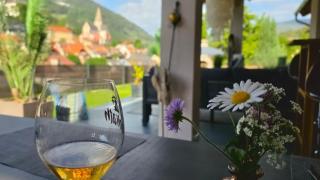 Dreamliner Murau Bungalow mit Whirlpool und Garten - 1