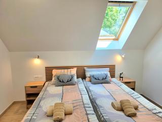 Apartments Zlati Rog - 5