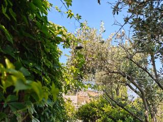 The Ioulis Pool - 9