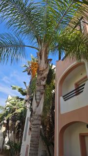 Marina villa - 9