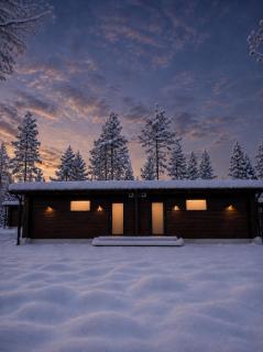 Arctic Forest Hideaway with Private Sauna - 4