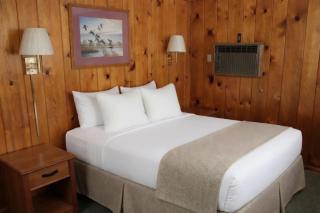 Paddle Inn - 1