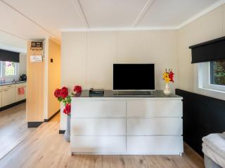 Chalet in Reutum by Almelo Nordhorn Canal - 6