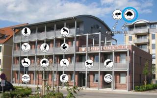 Hafendomicil Appartement WH05 - Maus - 1
