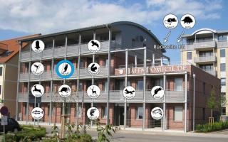 Hafendomicil Appartement WH12 - Specht - Waren - 1