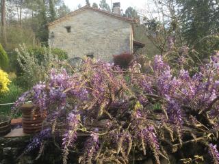 Les Mialles - 4