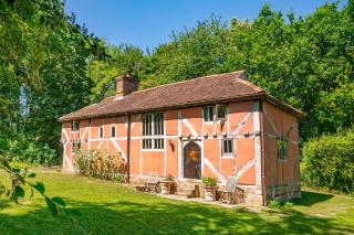 Exquisite Tudor style forest lodge - The Pink House - 0