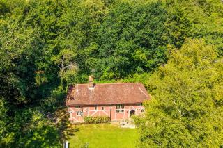 Exquisite Tudor style forest lodge - The Pink House - 3