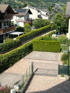 Gelsomino - 5
