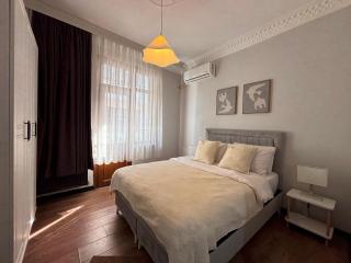 Luxury 1BR Turkish Bath Walk to Galata - 7