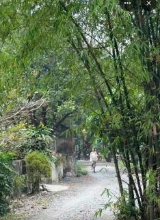 Trang An Hana homestay - 4