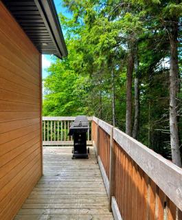 Modern Retreat in Forest with Hot Tub - 2