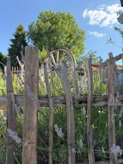 Au pied du vignoble Champenois - 2