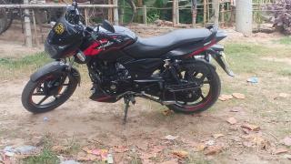 bick - 1