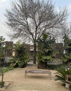 Pool In Lahore - 1