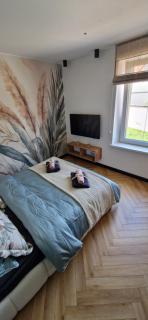 Apartament Palmiarnia - 4