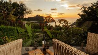 Luxurious, modern suite in the rainforest with ocean views and 3 resort pools - 9