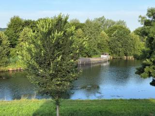 Fewo am Fluss - 9