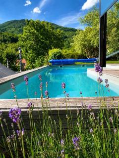 Jacuzzi Piscine Nature Animaux - 0