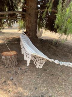 Jane's Beautiful Cottage, Eretria - 7