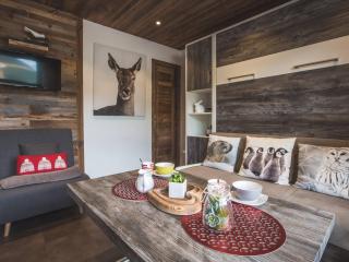 Charmant studio rénové au centre, près des pistes - FR-1-598-81 - 1