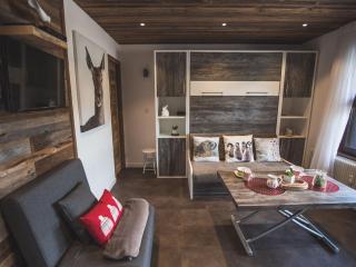Charmant studio rénové au centre, près des pistes - FR-1-598-81 - 2