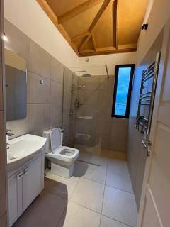 Amper Villa Dilijan - 3