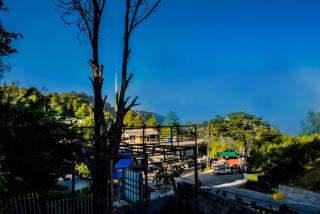 Kingdon Cottage Barian Murree on Nathiagali road - 5