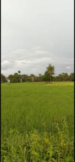 Chez Véro maison Agnack Petit ziguinchor - 9