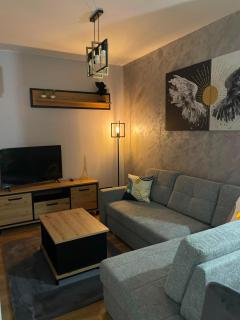 Chill in Łódź - Japanese Garden Apartment - 9