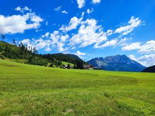 Die Ringdorferin - Boutique Farmhouse Apartments - 0