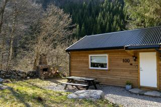 Cozy cabin in pleasant surroundings! - 2