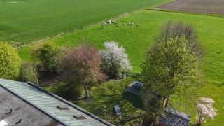 Apartment in Friedrichskoog with 130 sqm - 5