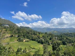 Mountain Breeze Homestay - 3