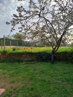 Country house close to all amenities - 4
