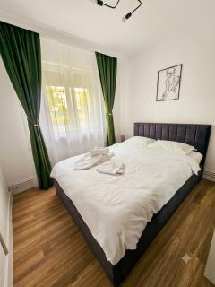 Cozy green apartament - 6