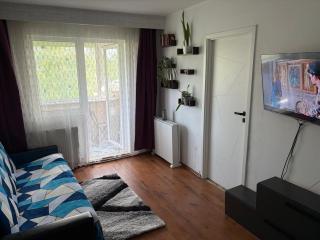 Ioana House - 3