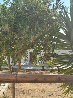 7Olives Onyx Boutique Apartment - 8