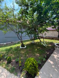 Mountain & River Garden House - 9