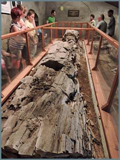 Kaláris Vendégház - 6