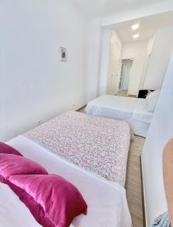 Bella Camelia - 6