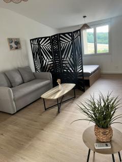 Charmant studio refait à neuf - 9