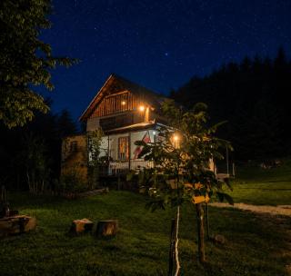 Bani Cottage Racha - 8