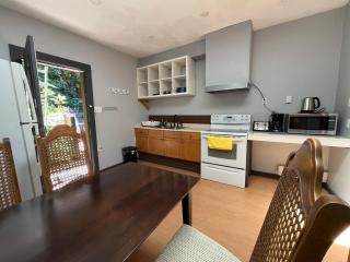 Lantzbnb 2bedr & 2washr unit - 9