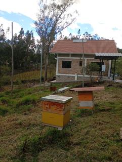 BeeHouse Cojitambo - 1