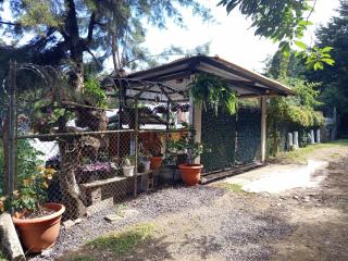 Granja Triple A - 8