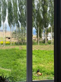 Aibiyke Guest house - 2