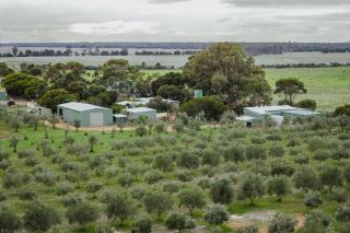 Yirri Grove Farm Cottage - 1