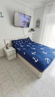 Agata Sea Horse - 8